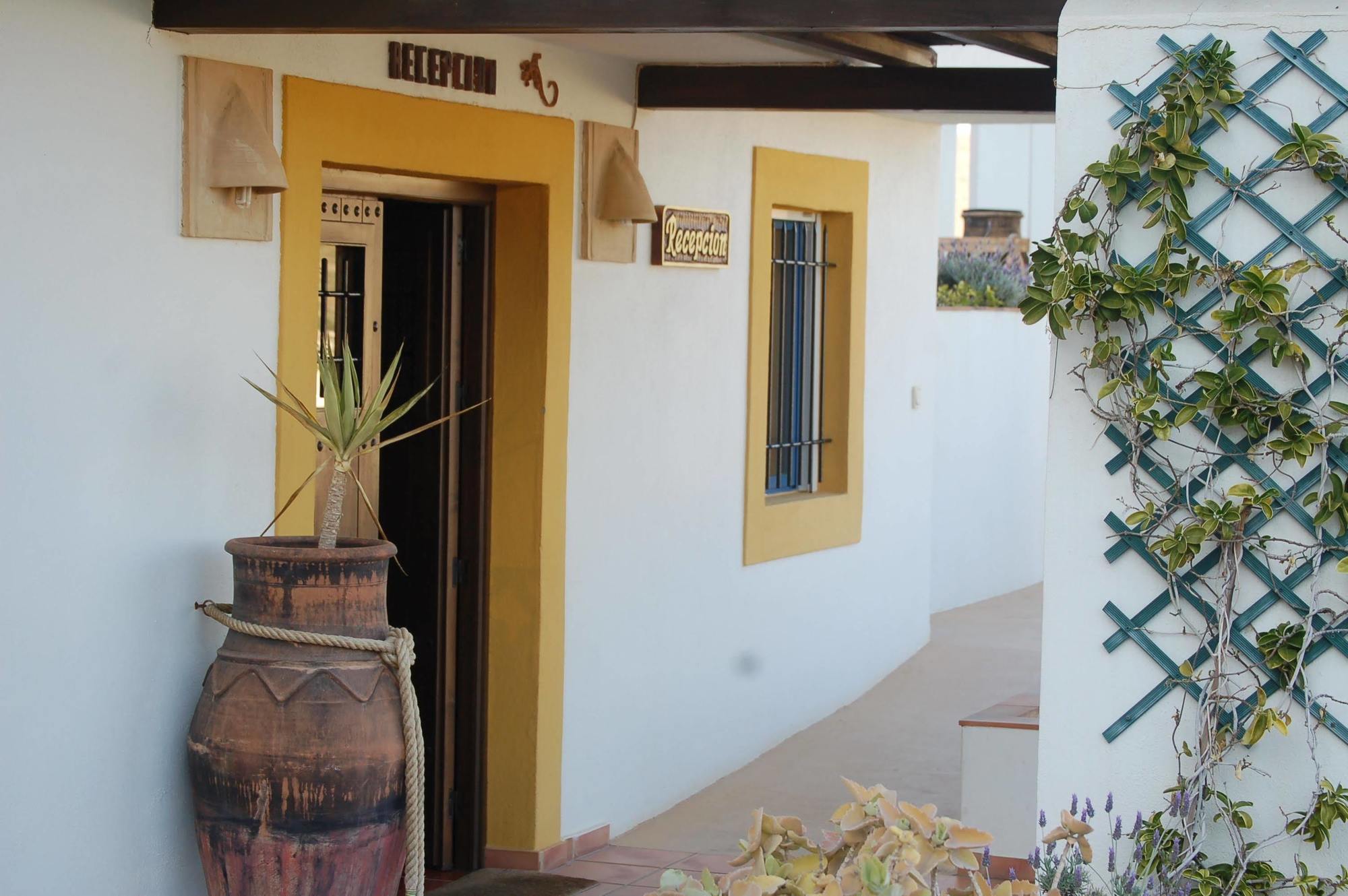 Hostal El Dorado ซานโฮเซ ภายนอก รูปภาพ